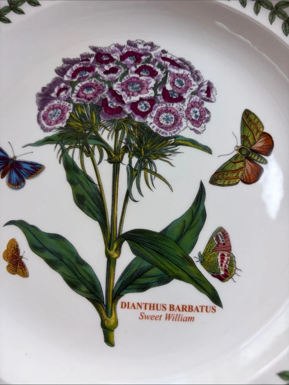Portmeirion Botanic Garden 4 Salad plates